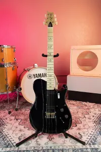 PRS NF 53 2024 - черная собачья шерсть