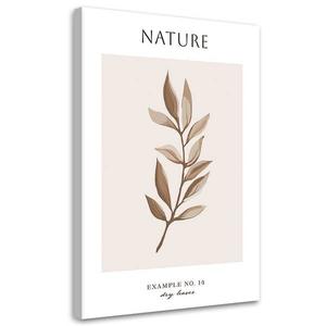 Картина арт-принт KUNSTLOFT Dry Leaves #14, бежевый