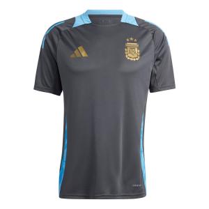 Джерси adidas Argentina Tiro 24 Competition Training Soccer Jersey Asia Sizing 'Grey', серый