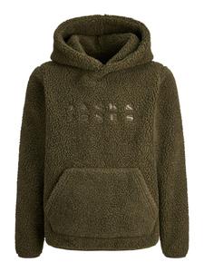 JACK & JONES Junior Толстовка с капюшоном JCOFLARE TEDDY SWEAT HOOD MNI в цвете «виноградный лист»