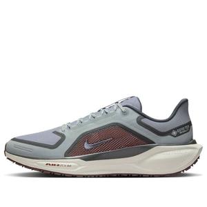 Кроссовки air zoom pegasus 41 gore-tex 'light pumice ashen slate burgundy' Nike, мультиколор