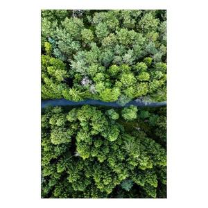 Фреска Artgeist Road Through Forest, зеленый