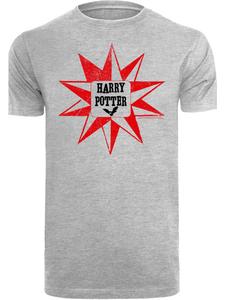 Футболка F4NT4STIC, пятнистый серый