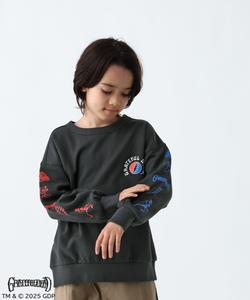 Детская толстовка с принтом на рукаве Grateful Dead Bayflow, цвет Black 19