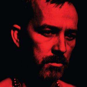 Виниловая пластинка LP The Social Animals - Duquette Johnston