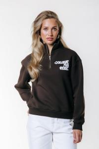 Толстовка Colourful Rebel UNI LOGO WAVE ZIP, Brown