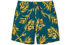 THE NORTH FACE Мужские повседневные шорты, цвет Blue