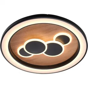 Потолочный светильник ELIZA LED-панель 1 шт. Теплый белый LED, управляется отдельно (выключатель) Paul Neuhaus, Holz-natur