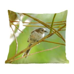 Декоративная подушка MuchoWow, диванная подушка, декоративная подушка для гостиной, 50 х 50 см, птица между ветками - чехлы на подушки - украшение - спальня