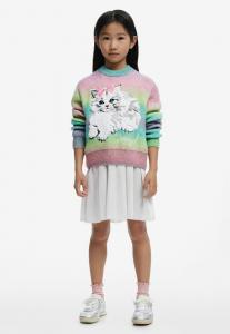 Джемпер Desigual RAINBOW CAT, Material Finishes/Multi-Coloured