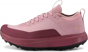 Женские беговые кроссовки Arc'teryx Sylan GTX | Водонепроницаемые Gore-Tex, дышащие и легкие трейловые кроссовки с изогнутой подошвой