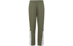 Мужские трикотажные спортивные штаны Dickies, цвет Army Green