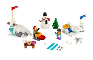 Эксклюзивный набор для зимней битвы снежками Target 40424 LEGO, winter snowball fight