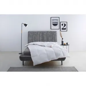 Одеяло из пухa Richard, одеяла для лета или зимы, Сделано в Германии легкая наполнителя 90% пух, 10% перо, чехол хлопок, 1 шт. одеяло 135x200 см, 155x220 см и другие размеры, одеяло Ribeco, белый