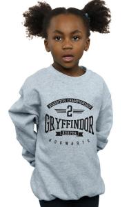 Толстовка вратаря Гриффиндора Harry Potter, серый