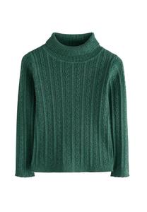 Джемпер Next REGULAR FIT-ROLL NECK, Dark Green/Green