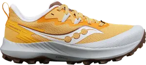 Кроссовки Wmns Peregrine 14 'Flax Clove', оранжевый