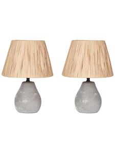 Комплект из 2 настольных ламп ARWADITO серо-коричневого цвета