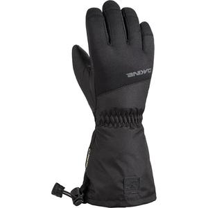 Перчатки DAKINE Rover GORE-TEX DAKINE, Black
