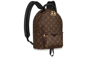 Обновленный рюкзак Palm Springs Monogram с молнией PM LOUIS VUITTON