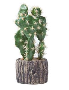 Декоративное растение Homescapes Feigenkaktus in Topf, зеленый