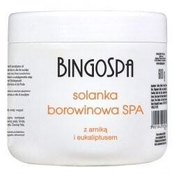 Грязевой раствор BINGOSPA SPA с арникой и эвкалиптом 600г