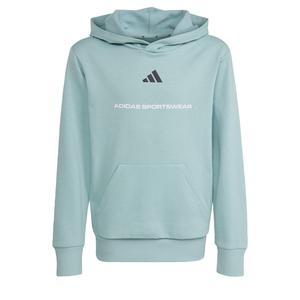 Спортивная толстовка ADIDAS SPORTSWEAR, зеленый