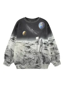 Толстовка Monti Molo, серый