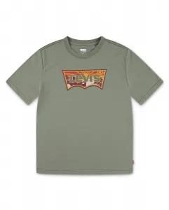 Футболка Sunrise Desert Batwing для мальчика Levi's, зеленый