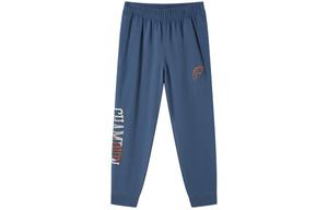 Трикотажные спортивные штаны унисекс Champion, серый