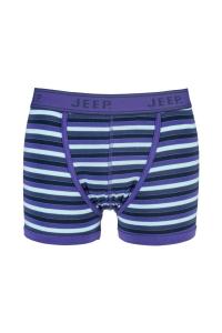 1 пара плавок Spirit из хлопка в полоску Jeep, синий