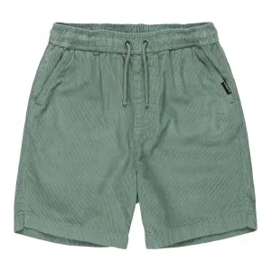 Детские шорты Taxer Quiksilver, зеленый