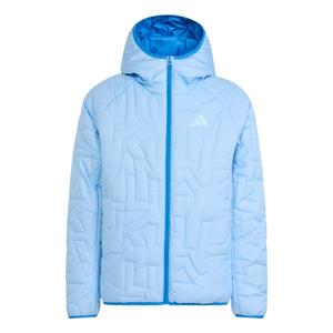 ADIDAS TERREX Куртка Outdoor 'Xperior' в цвете Light Blue