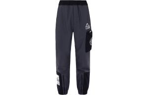 Трикотажные спортивные штаны мужские темно-угольные Evisu, цвет Dark Charcoal