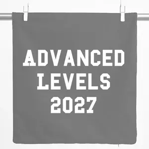 Декоративная наволочка Huuraa, 40x40 см, для выпускного, 2027, для продвинутого уровня, подарок в Великобританию, стальной серый хлопок, украшение для продвинутого уровня, 2027 Hellweg Druckerei