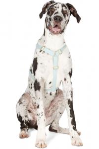 Зеленый The Scot Large Original Harness See Scout Sleep