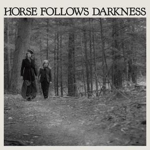 Диск CD Horse Follows Darkness - Delia Gonzalez