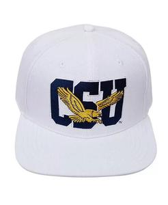 Мужская белая шерстяная шляпа Coppin State Eagles Evergreen Snapback Pro Standard, белый