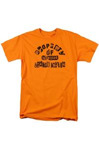 Футболка с коротким рукавом для взрослых Batman Property Of Arkham Gildan, оранжевый