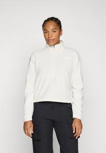 Джемпер The North Face GLACIER 1/2 ZIP SHORT, White Dune/Off-White