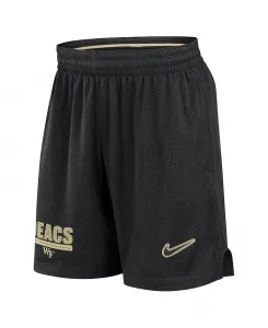 Мужские черные шорты Wake Forest Demon Deacons 2024 Sideline Mesh Nike