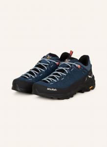 Ботинки для походов alp trainer 2 gtx Salewa, мультиколор