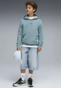 Худи с логотипом essentials Puma, Seafoam