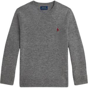 Свитер FW25 детский Polo Ralph Lauren, серый