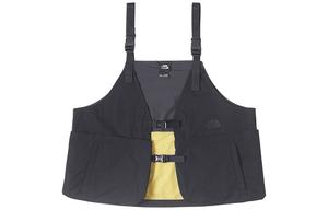 Мужской жилет THE NORTH FACE, цвет Black