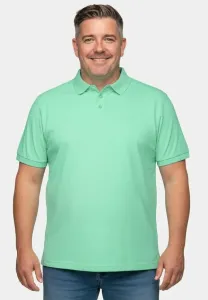 Рубашка поло Men Plus, Blue Green