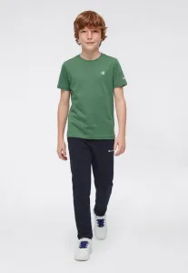 Спортивные штаны icons Champion, Dark Blue