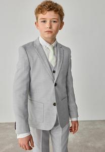 Элегантный пиджак STANDARD Baker by Ted Baker, серый