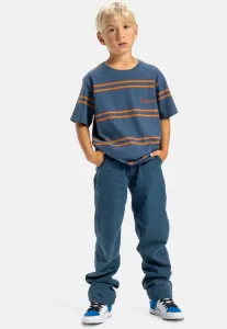 Футболка с принтом в полоску maximize Dc Shoes, Brq0 Dark Denim