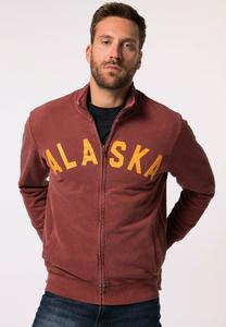 Толстовка JP1880 STEHKRAGEN VINTAGE LOOK PRINT, Earth/Brown